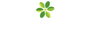 健康関連情報